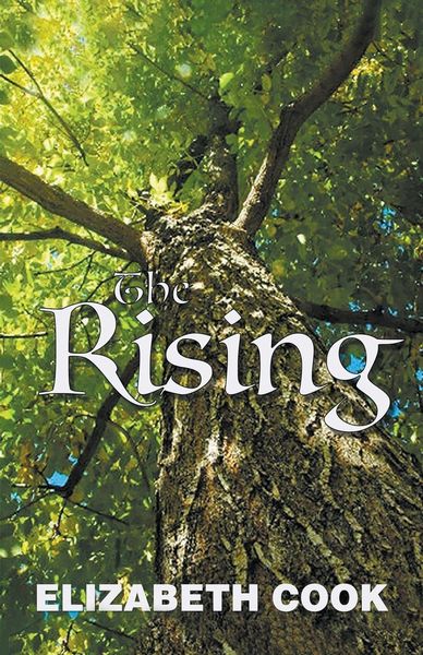Produktbild: The Rising