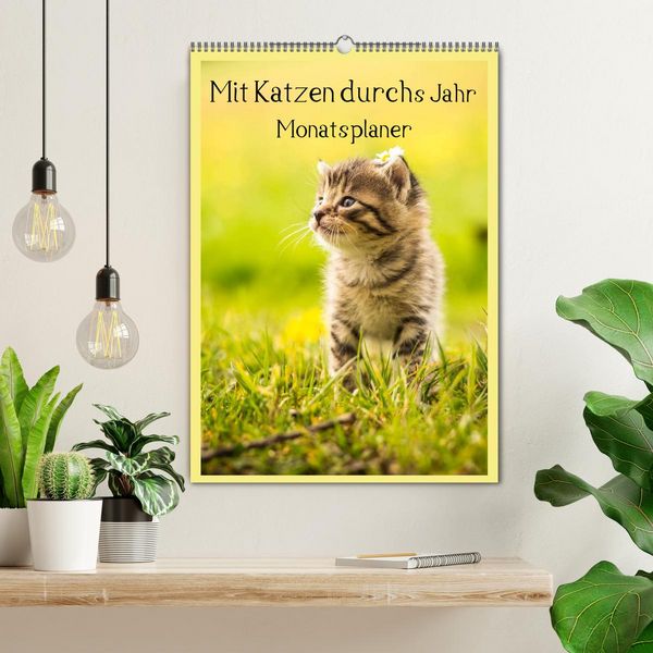 Produktbild: Mit Katzen durchs Jahr / Planer (Wandkalender 2026 DIN A2 hoch), CALVENDO Monatskalender