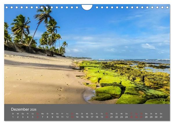 Produktbild: Brasilien 2026 abseits von Rio (Wandkalender 2026 DIN A4 quer), CALVENDO Monatskalender