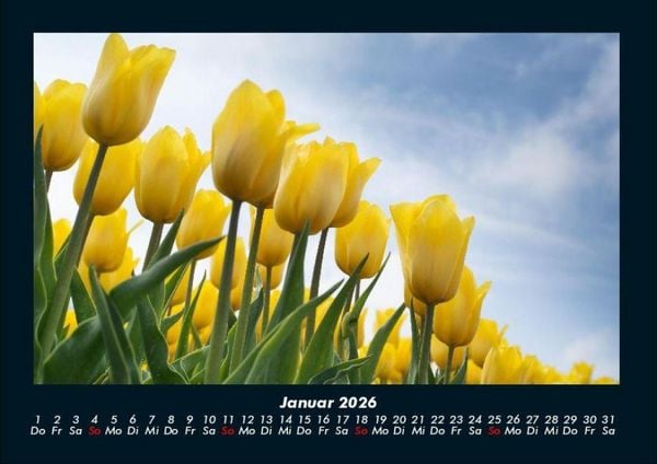Produktbild: Blumentr&auml;ume 2026 Fotokalender DIN A4
