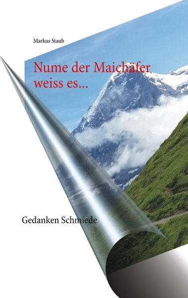 Nume der Maichäfer weiss es..., Taschenbuch von Markus Staub, Gedanken Schmiede, 9783952411810