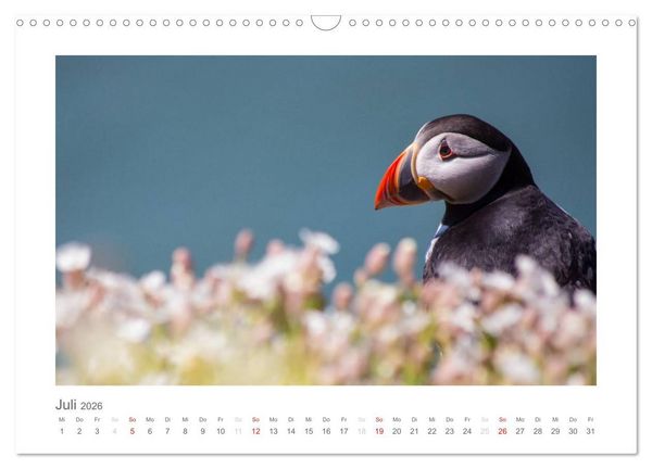 Produktbild: Wales / AT-Version (Wandkalender 2026 DIN A3 quer), CALVENDO Monatskalender