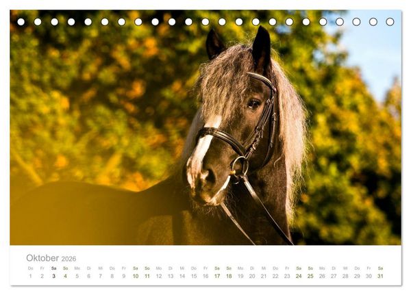 Produktbild: Faszination Schwarzw&auml;lder Kaltblut (Tischkalender 2026 DIN A5 quer), CALVENDO Monatskalender