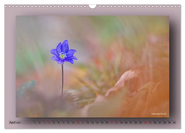 Produktbild: Foto-Art-Natur (Wandkalender 2027 DIN A3 quer), CALVENDO Monatskalender