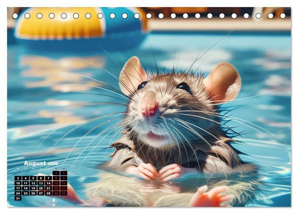 Produktbild: Lustige Ratten (Tischkalender 2026 DIN A5 quer), CALVENDO Monatskalender