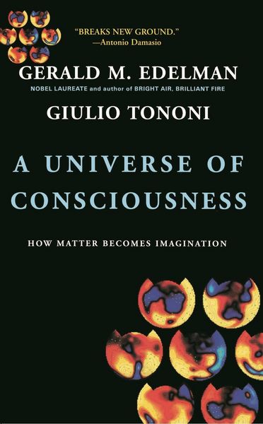 Produktbild: A Universe Of Consciousness