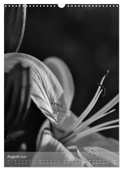 Produktbild: Monochrome Bl&uuml;ten - In Schwarz-Wei&szlig; Bildern durch das Jahr (Wandkalender 2026 DIN A3 hoch), CALVENDO Monatskalender