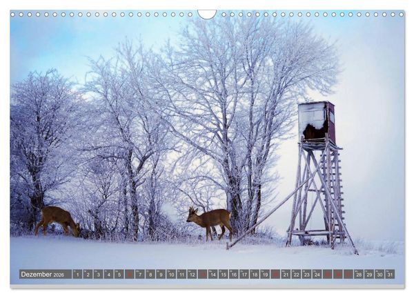 Produktbild: Zauberhafte Schwalm (Wandkalender 2026 DIN A3 quer), CALVENDO Monatskalender