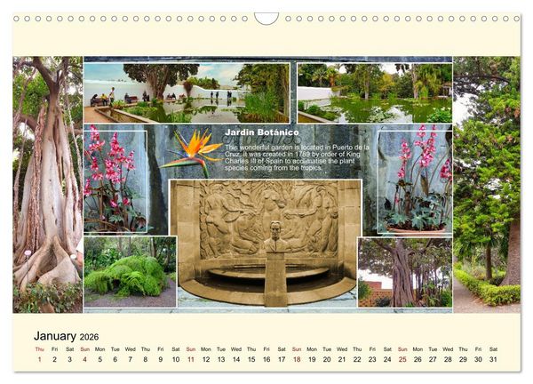 Produktbild: Enchanting Tenerife (Wall Calendar 2026 DIN A3 landscape), CALVENDO 12 Month Wall Calendar