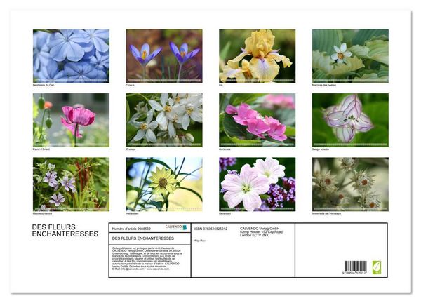 Produktbild: DES FLEURS ENCHANTERESSES (Calendrier mural 2026 DIN A2 vertical), CALVENDO calendrier mensuel
