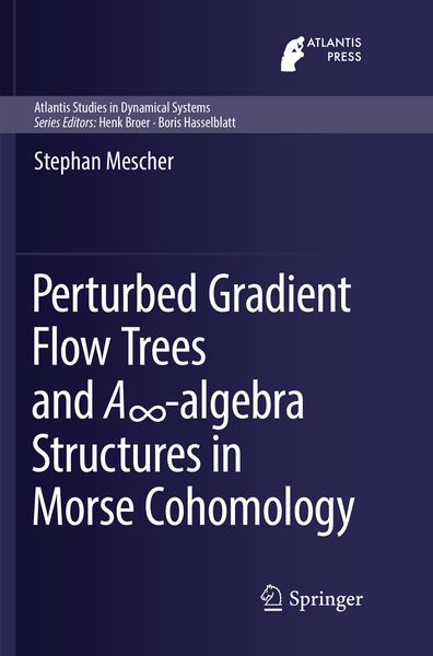 Produktbild: Perturbed Gradient Flow Trees and A&infin;-algebra Structures in Morse Cohomology