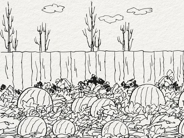 Produktbild: Das Beste der Peanuts