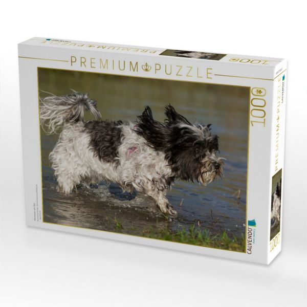 Produktbild: CALVENDO Puzzle Havaneser am See | 1000 Teile Lege-Gr&ouml;&szlig;e 64x48cm Foto-Puzzle f&uuml;r gl&uuml;ckliche Stunden
