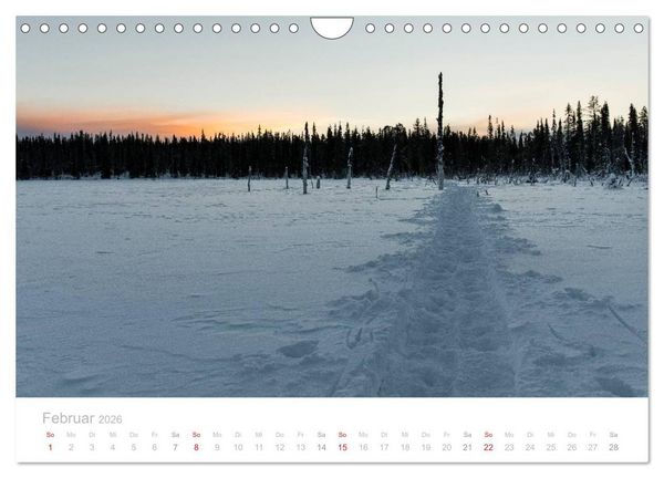 Produktbild: Heimat der Samen (Wandkalender 2026 DIN A4 quer), CALVENDO Monatskalender