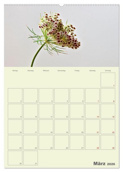 Produktbild: Blumenmetamorphosen (Wandkalender 2026 DIN A2 hoch), CALVENDO Monatskalender