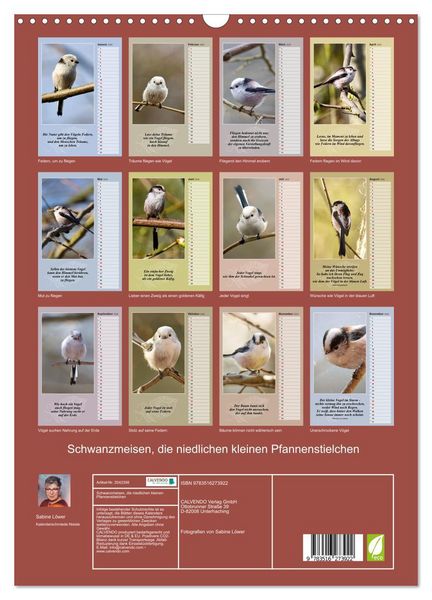 Produktbild: Schwanzmeisen, die niedlichen kleinen Pfannenstielchen (Wandkalender 2026 DIN A3 hoch), CALVENDO Monatskalender