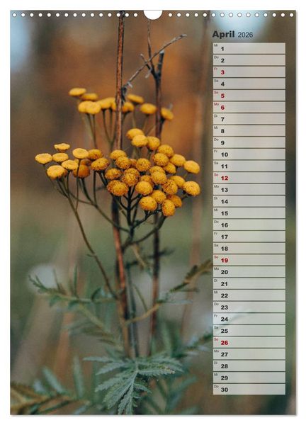 Produktbild: Kalender - Natur im Detail (Wandkalender 2026 DIN A3 hoch), CALVENDO Monatskalender