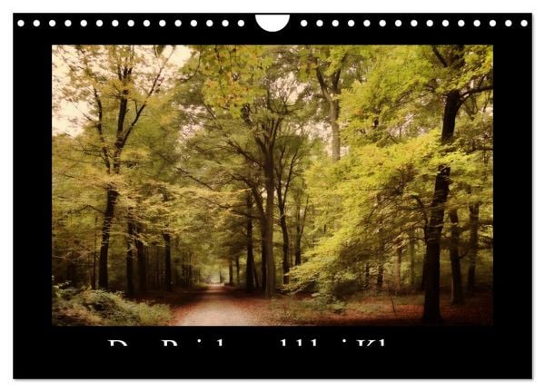 Produktbild: Der Reichswald bei Kleve (Wandkalender 2026 DIN A4 quer), CALVENDO Monatskalender