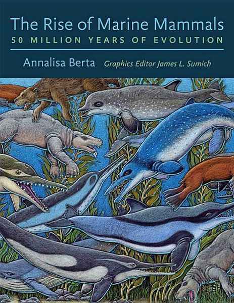 Produktbild: Rise of Marine Mammals