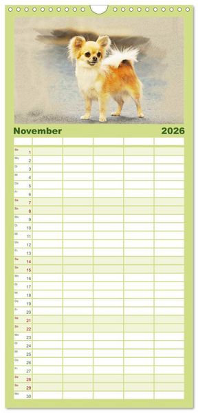 Produktbild: Familienplaner 2026 - Chihuahuas 2026 mit 5 Spalten (Wandkalender, 21 x 45 cm) CALVENDO