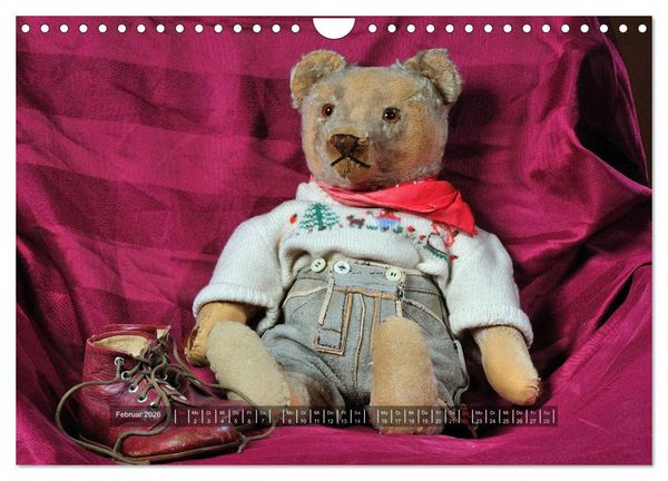 Produktbild: Die Teddys sind los (Wandkalender 2026 DIN A4 quer), CALVENDO Monatskalender