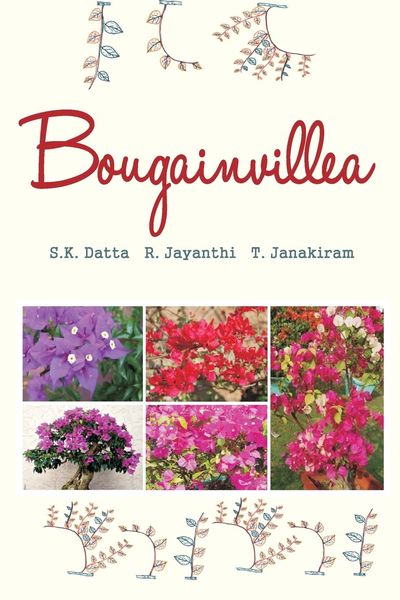 Produktbild: Bougainvillea