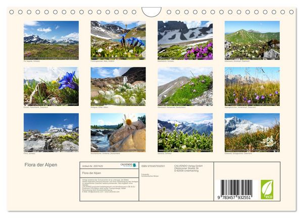 Produktbild: Flora der Alpen (Wandkalender 2026 DIN A4 quer), CALVENDO Monatskalender