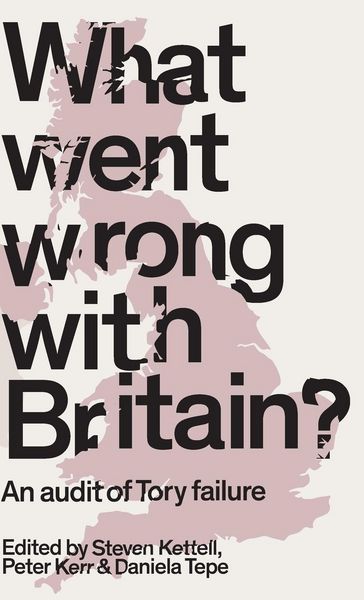 Produktbild: What Went Wrong with Britain?