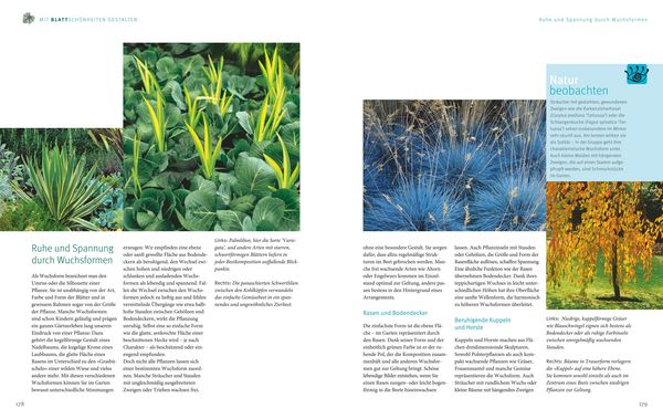 Produktbild: Ganzj&auml;hrig attraktive Beete mit Blatt und Bl&uuml;te