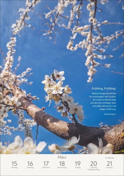 Produktbild: Literaturkalender Natur Wochen-Kulturkalender 2027
