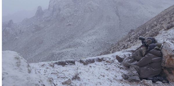 Produktbild: Der Schneeleopard