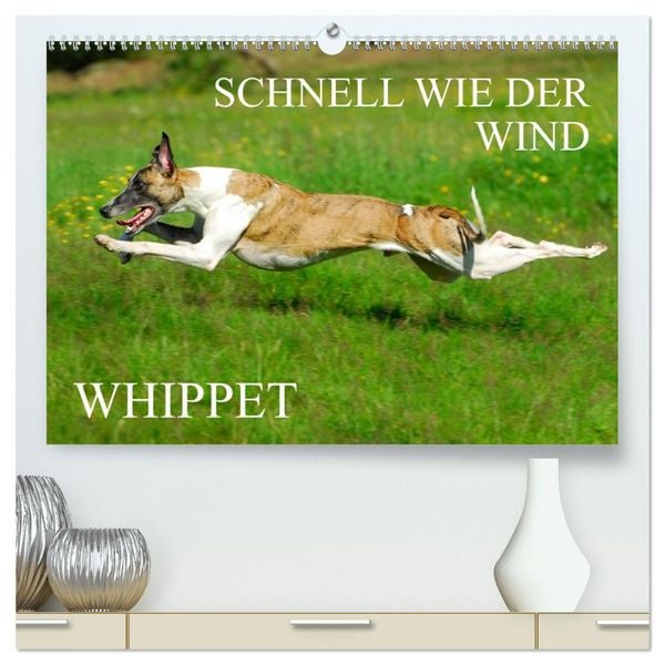 Produktbild: Schnell wie der Wind - Whippet (hochwertiger Premium Wandkalender 2026 DIN A2 quer), Kunstdruck in Hochglanz