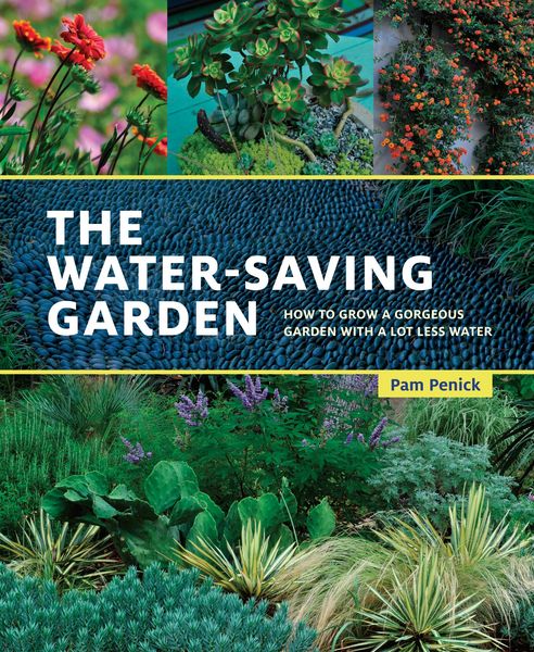 Produktbild: The Water-Saving Garden