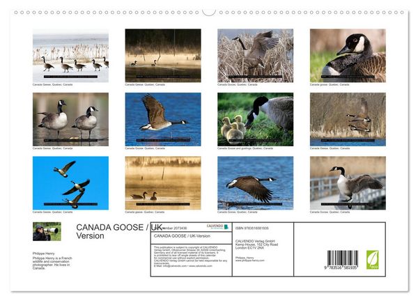 Produktbild: CANADA GOOSE / UK-Version (High Quality Premium Wall Calendar 2026 DIN A2 landscape),CALVENDO 12 Month Wall Calendar