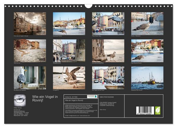 Produktbild: Wie ein Vogel in Rovinj! (Wandkalender 2026 DIN A3 quer), CALVENDO Monatskalender