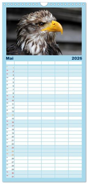 Produktbild: Familienplaner 2026 - Greifv&ouml;gel, Eulen und K&auml;uze mit 5 Spalten (Wandkalender, 21 x 45 cm) CALVENDO