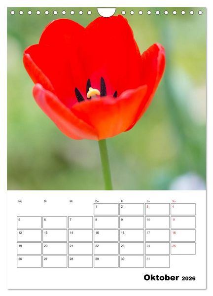 Produktbild: Farben der Natur (Wandkalender 2026 DIN A4 hoch), CALVENDO Monatskalender