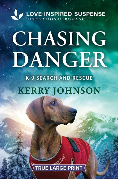 Produktbild: Chasing Danger