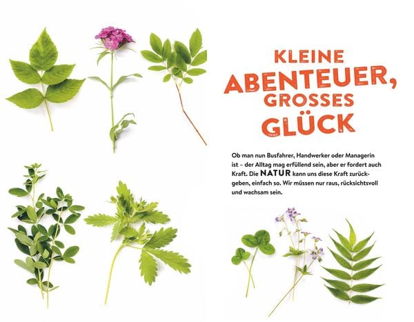 Produktbild: Tausche Alltag gegen Alpaka