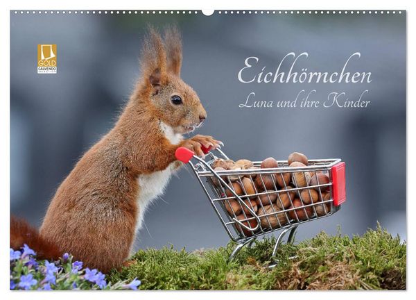 Eichhörnchen Luna und ihre Kinder (Wandkalender 2026 DIN A2 quer), CALVENDO Monatskalender