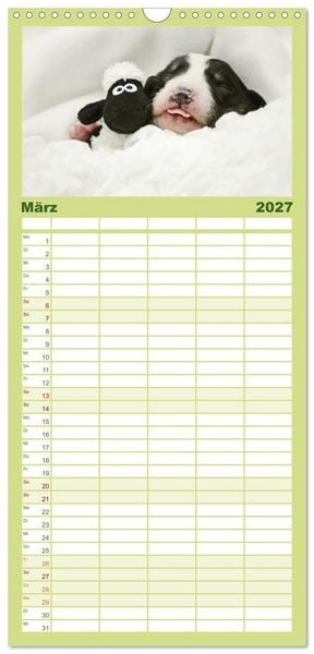Produktbild: Familienplaner 2027 - Der Bordercollie-Kalender mit 5 Spalten (Wandkalender, 21 x 45 cm) CALVENDO