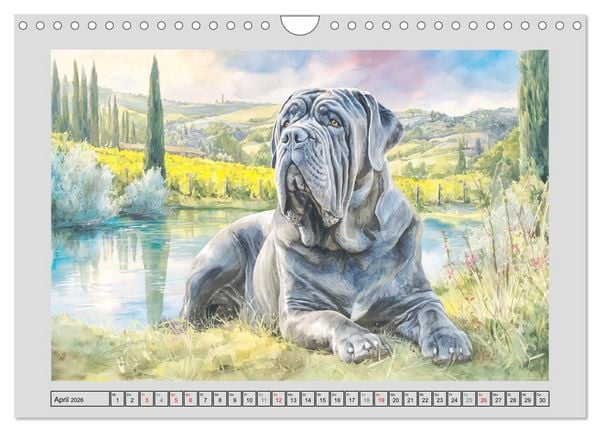 Produktbild: Mastino Napoletano. Die wuchtigen Molosser im Painting-Stil (Wandkalender 2026 DIN A4 quer), CALVENDO Monatskalender