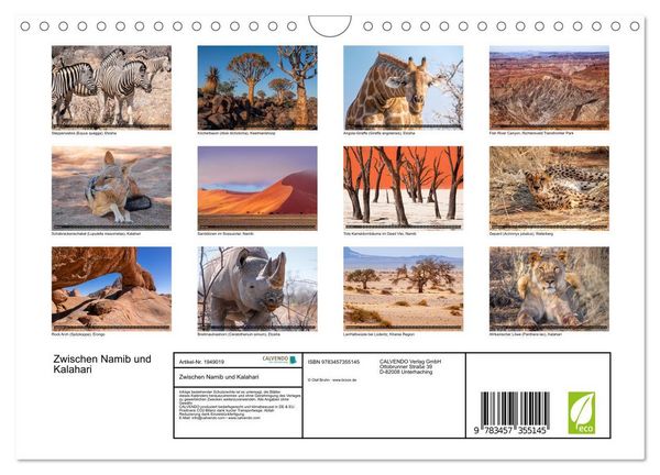 Produktbild: Zwischen Namib und Kalahari (Wandkalender 2026 DIN A4 quer), CALVENDO Monatskalender