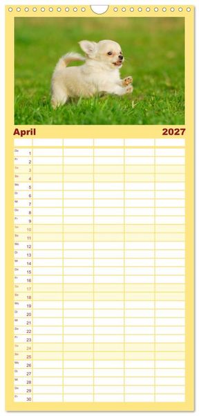 Produktbild: Familienplaner 2027 - Enegieb&uuml;ndel Chihuahua - Temperament auf vier Pfoten mit 5 Spalten (Wandkalender, 21 x 45 cm) CALVENDO