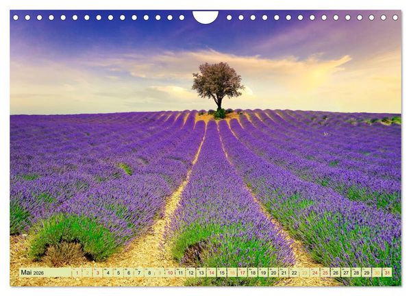 Produktbild: Traum-Ziele - Lavendel der Provence, Frankreich (Wandkalender 2026 DIN A4 quer), CALVENDO Monatskalender