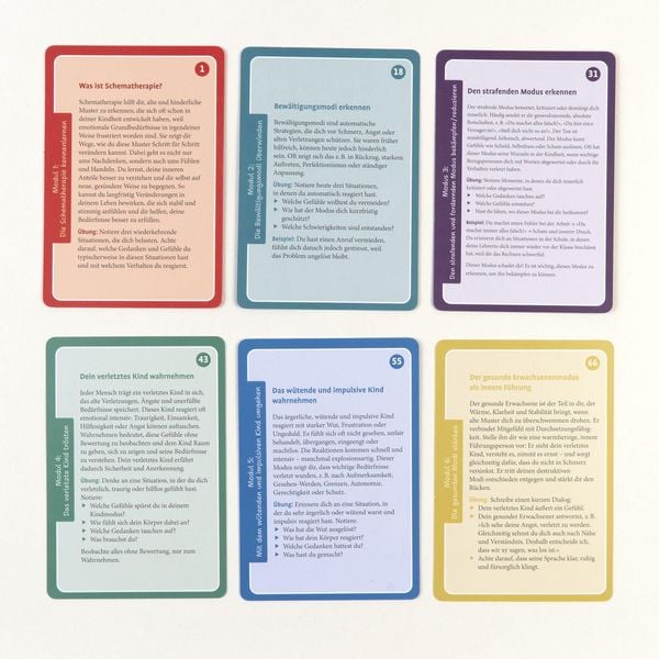 Produktbild: Schematherapie to go