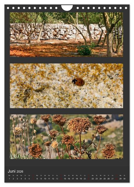 Produktbild: Naturfarben entdecken (Wandkalender 2026 DIN A4 hoch), CALVENDO Monatskalender