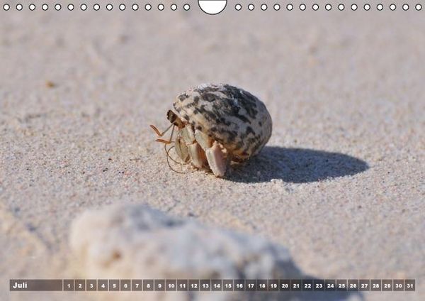 Produktbild: Gili Nanggu - Paradiesische kleine Insel (Wandkalender immerw&auml;hrend DIN A4 quer)