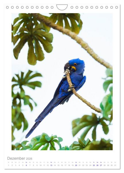 Produktbild: Pantanal &ndash; Einzigartiges Wildlife-Paradies (Wandkalender 2026 DIN A4 hoch), CALVENDO Monatskalender
