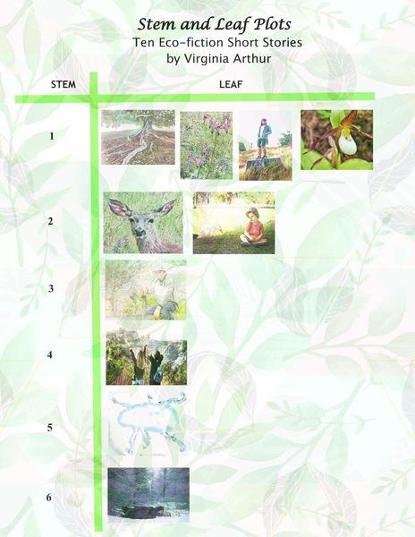 Produktbild: Stem and Leaf Plots